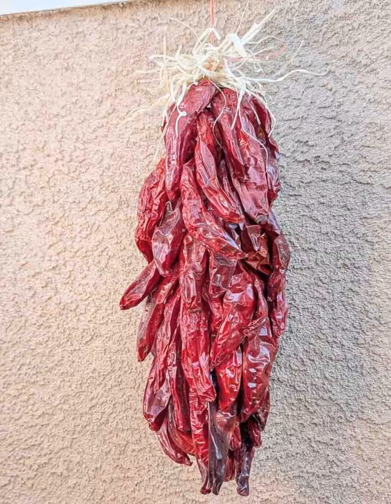 Authentic 12" Hand-Tied Hatch Red Chile Ristra