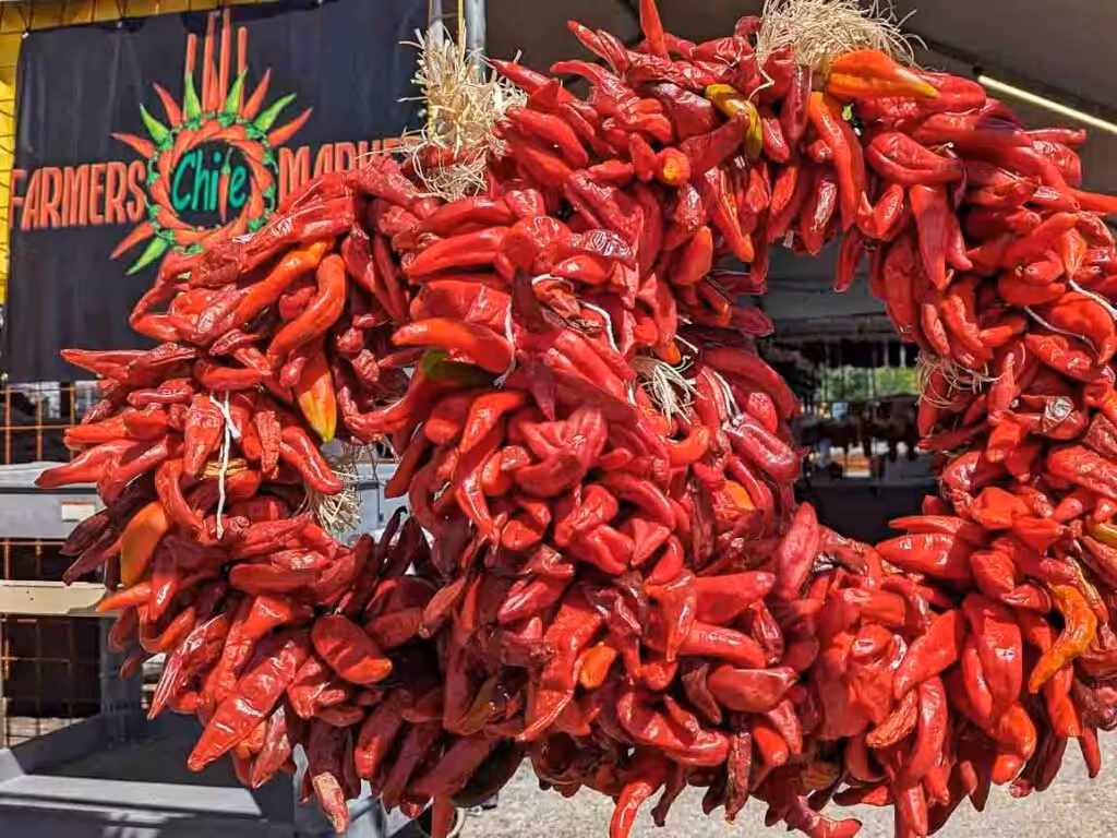 Authentic Hatch Red Chile Ristra Wreath